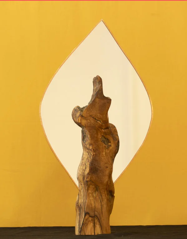 Miroir goutte olivier